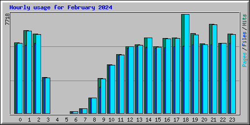 Hourly usage for February 2024