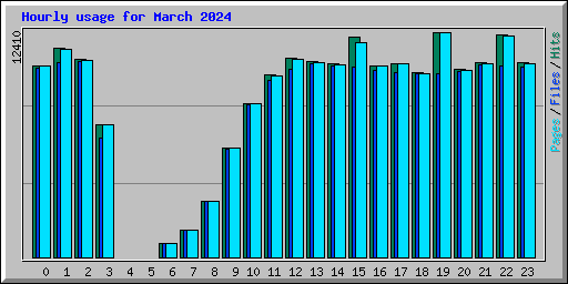 Hourly usage for March 2024