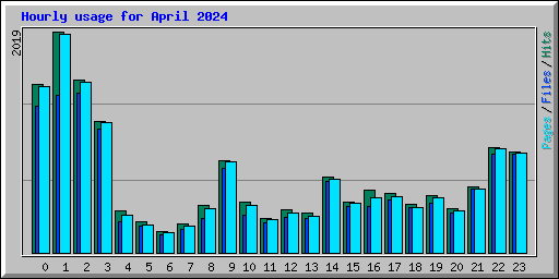 Hourly usage for April 2024