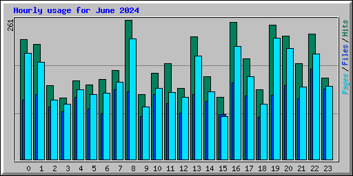 Hourly usage for June 2024