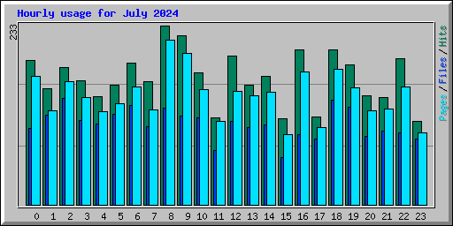 Hourly usage for July 2024