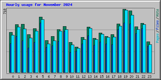 Hourly usage for November 2024