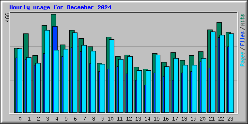 Hourly usage for December 2024